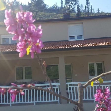 Apartment Marta Čapljina Zewnętrze zdjęcie