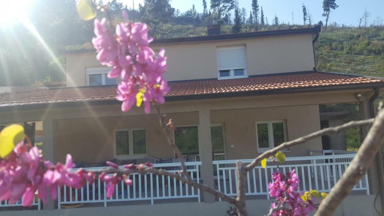 Apartment Marta Čapljina Zewnętrze zdjęcie