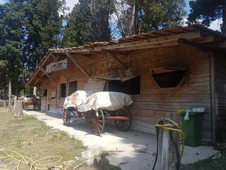 Apartment Marta Čapljina Zewnętrze zdjęcie