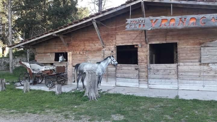 Apartment Marta Čapljina Zewnętrze zdjęcie