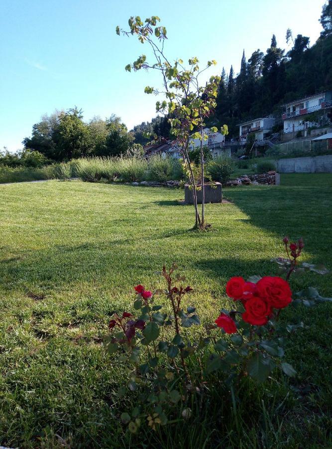 Apartment Marta Čapljina Zewnętrze zdjęcie